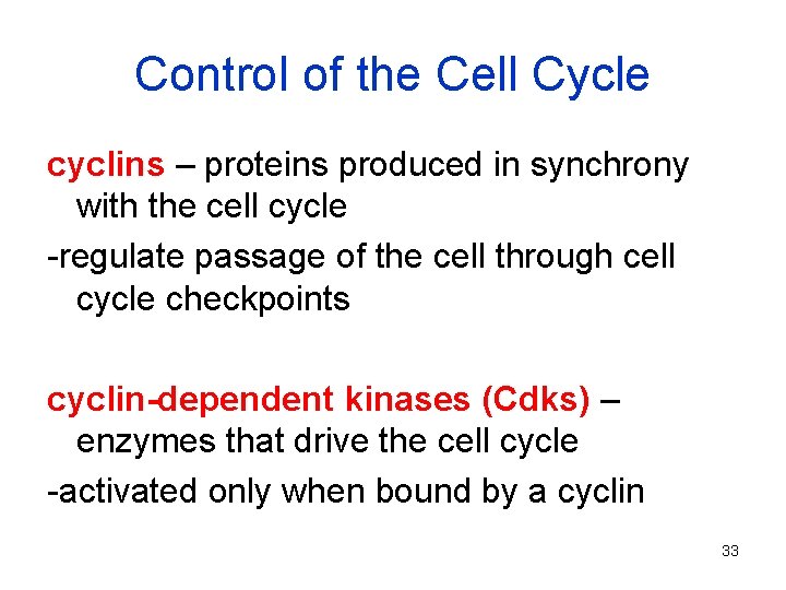 Control of the Cell Cycle cyclins – proteins produced in synchrony with the cell