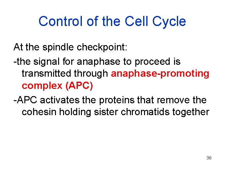 Control of the Cell Cycle At the spindle checkpoint: -the signal for anaphase to