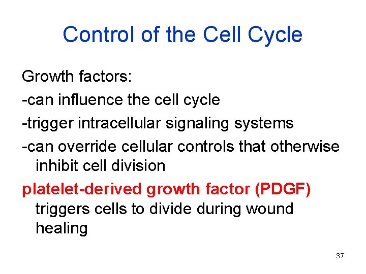 Control of the Cell Cycle Growth factors: -can influence the cell cycle -trigger intracellular