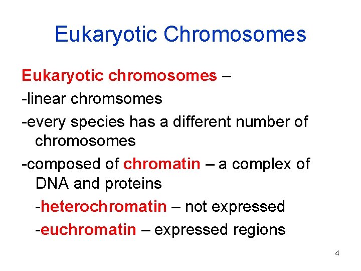 Eukaryotic Chromosomes Eukaryotic chromosomes – -linear chromsomes -every species has a different number of