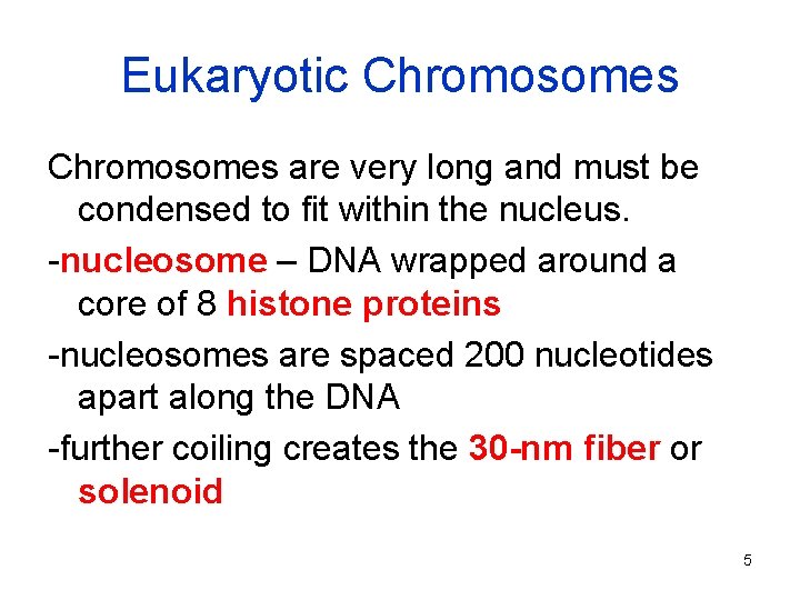 Eukaryotic Chromosomes are very long and must be condensed to fit within the nucleus.