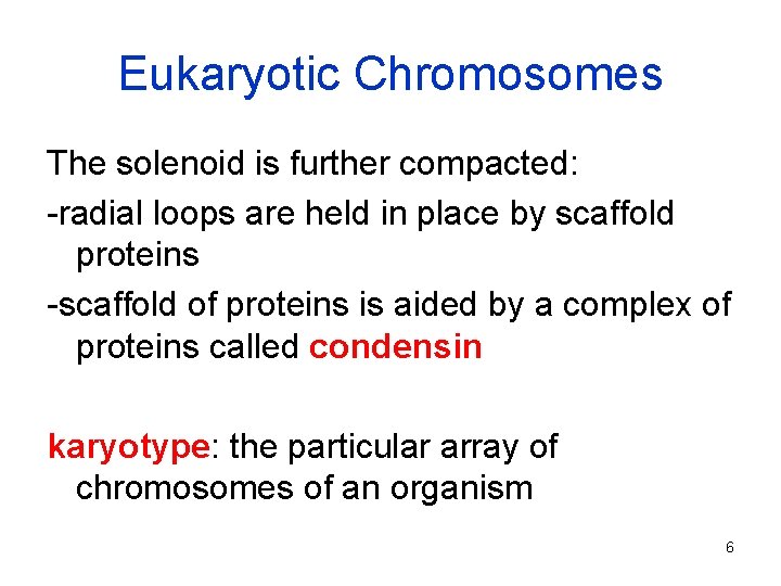Eukaryotic Chromosomes The solenoid is further compacted: -radial loops are held in place by