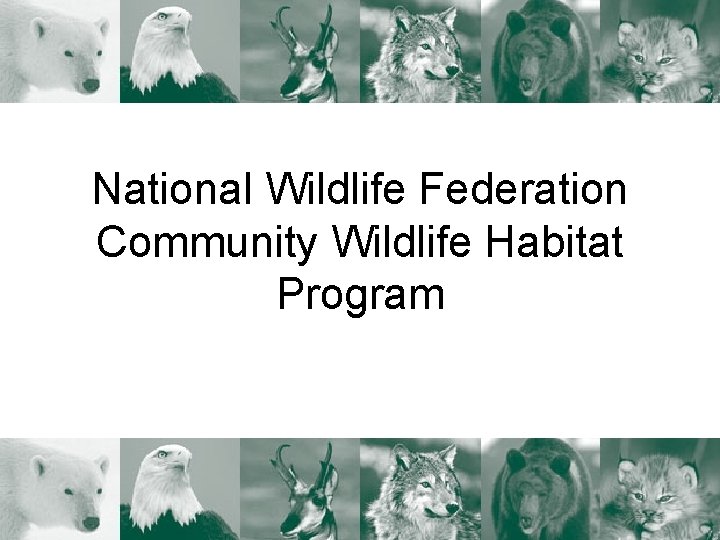 National Wildlife Federation Community Wildlife Habitat Program 