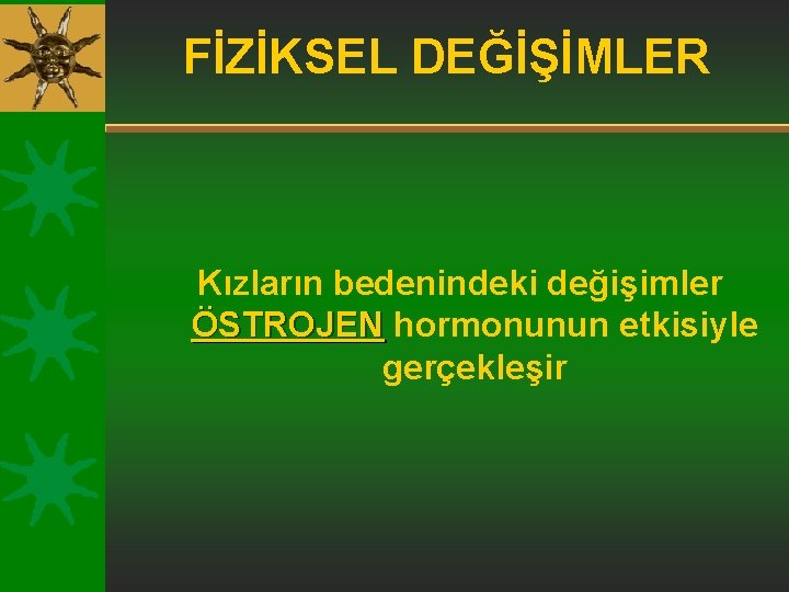 FİZİKSEL DEĞİŞİMLER Kızların bedenindeki değişimler ÖSTROJEN hormonunun etkisiyle gerçekleşir 