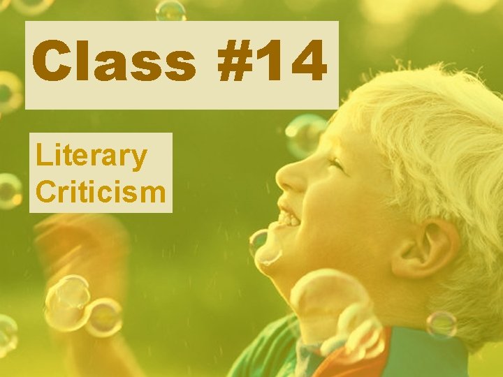 Class #14 Literary Criticism 