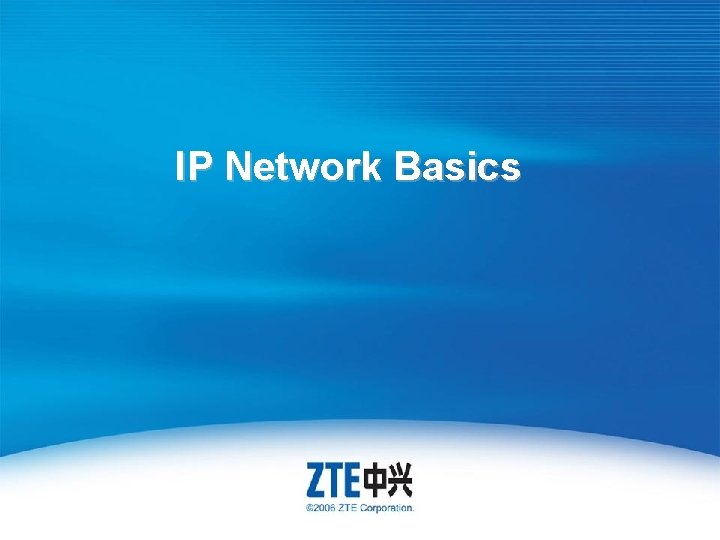 IP Network Basics 