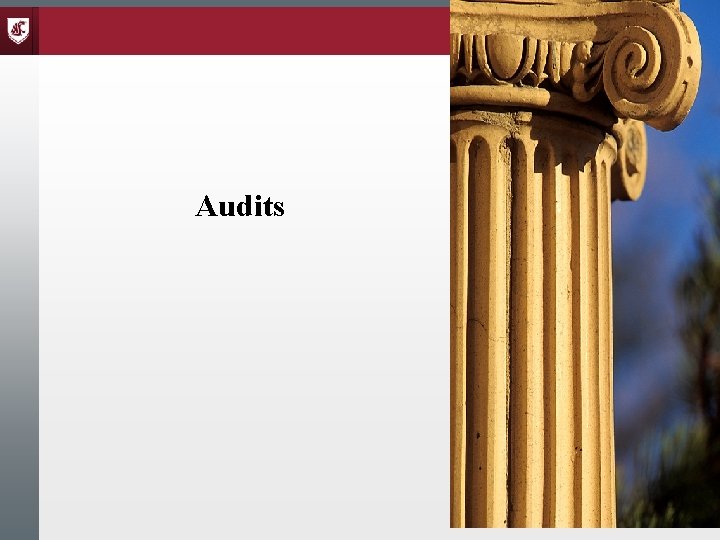 Audits 