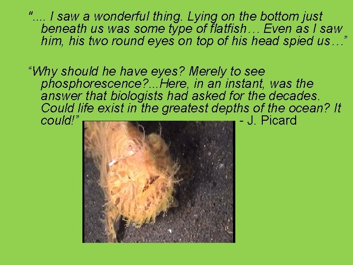 ". . I saw a wonderful thing. Lying on the bottom just beneath us