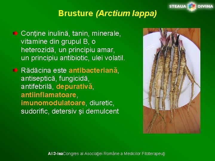 Brusture (Arctium lappa) Conţine inulină, tanin, minerale, vitamine din grupul B, o heterozidă, un