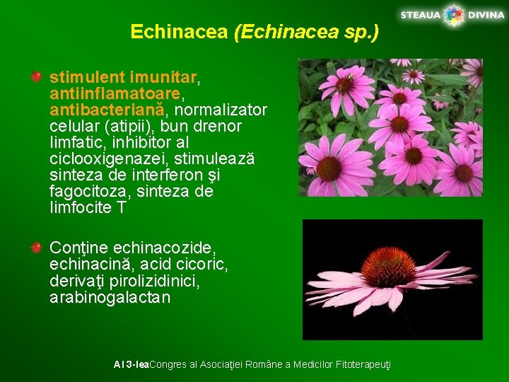 Echinacea (Echinacea sp. ) stimulent imunitar, antiinflamatoare, antibacteriană, normalizator celular (atipii), bun drenor limfatic,
