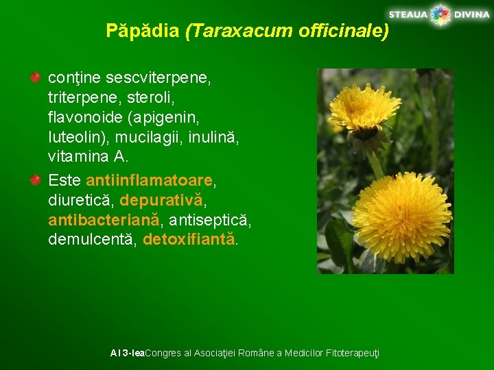 Păpădia (Taraxacum officinale) conţine sescviterpene, triterpene, steroli, flavonoide (apigenin, luteolin), mucilagii, inulină, vitamina A.