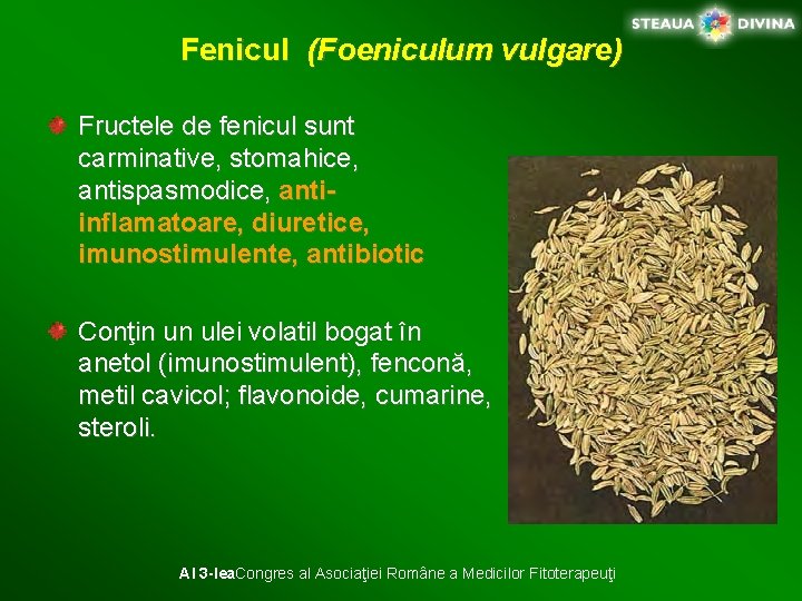 Fenicul (Foeniculum vulgare) Fructele de fenicul sunt carminative, stomahice, antispasmodice, antiinflamatoare, diuretice, imunostimulente, antibiotic