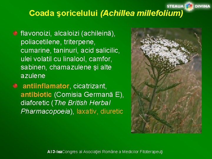 Coada şoricelului (Achillea millefolium) flavonoizi, alcaloizi (achileină), poliacetilene, triterpene, cumarine, taninuri, acid salicilic, ulei