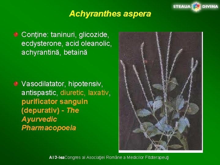 Achyranthes aspera Conţine: taninuri, glicozide, ecdysterone, acid oleanolic, achyrantină, betaină Vasodilatator, hipotensiv, antispastic, diuretic,
