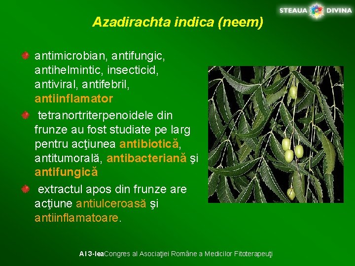 Azadirachta indica (neem) antimicrobian, antifungic, antihelmintic, insecticid, antiviral, antifebril, antiinflamator tetranortriterpenoidele din frunze au