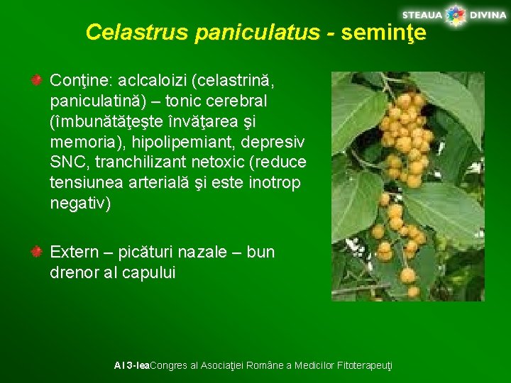 Celastrus paniculatus - seminţe Conţine: aclcaloizi (celastrină, paniculatină) – tonic cerebral (îmbunătăţeşte învăţarea şi