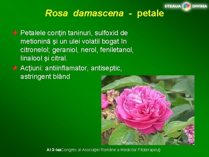 Rosa damascena - petale Petalele conţin taninuri, sulfoxid de metionină şi un ulei volatil