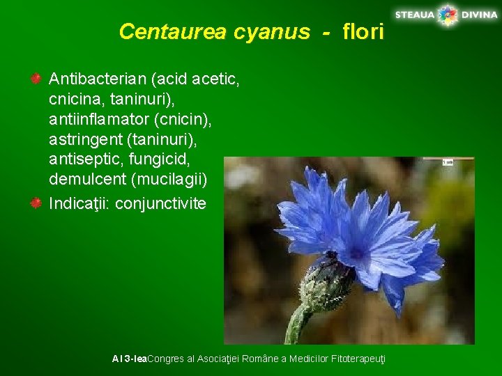 Centaurea cyanus - flori Antibacterian (acid acetic, cnicina, taninuri), antiinflamator (cnicin), astringent (taninuri), antiseptic,