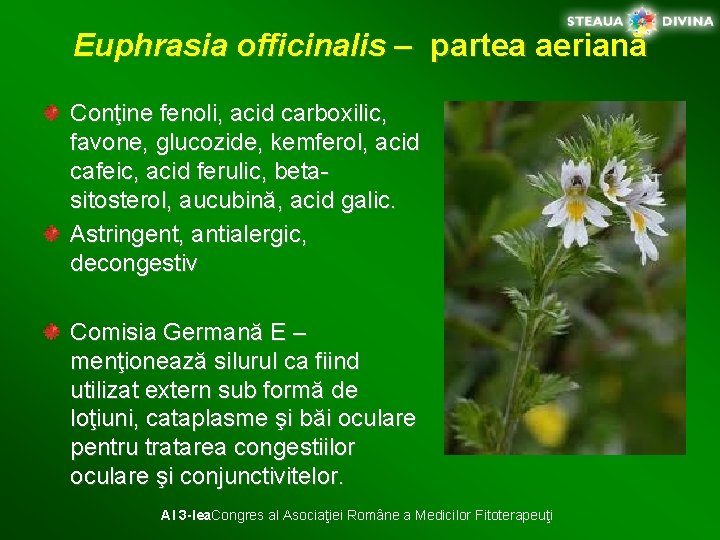 Euphrasia officinalis – partea aeriană Conţine fenoli, acid carboxilic, favone, glucozide, kemferol, acid cafeic,