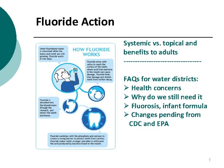 Fluoride Action Systemic vs. topical and benefits to adults -----------------FAQs for water districts: Ø