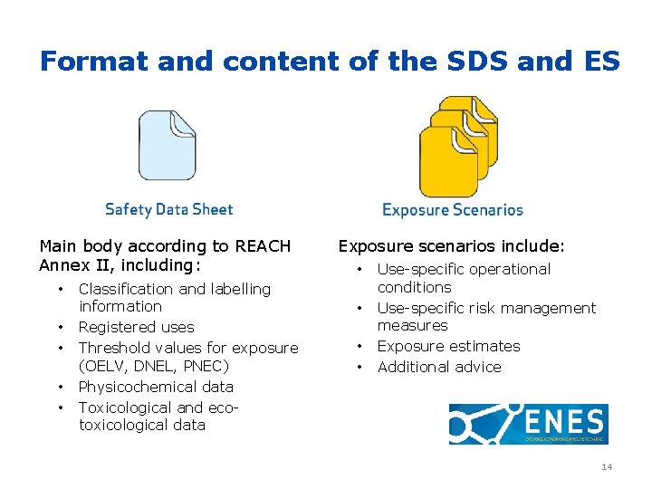 Format and content of the SDS and ES Main body according to REACH Annex