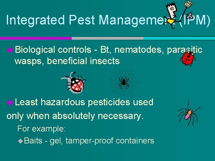 Integrated Pest Management (IPM) u Biological controls - Bt, nematodes, parasitic wasps, beneficial insects