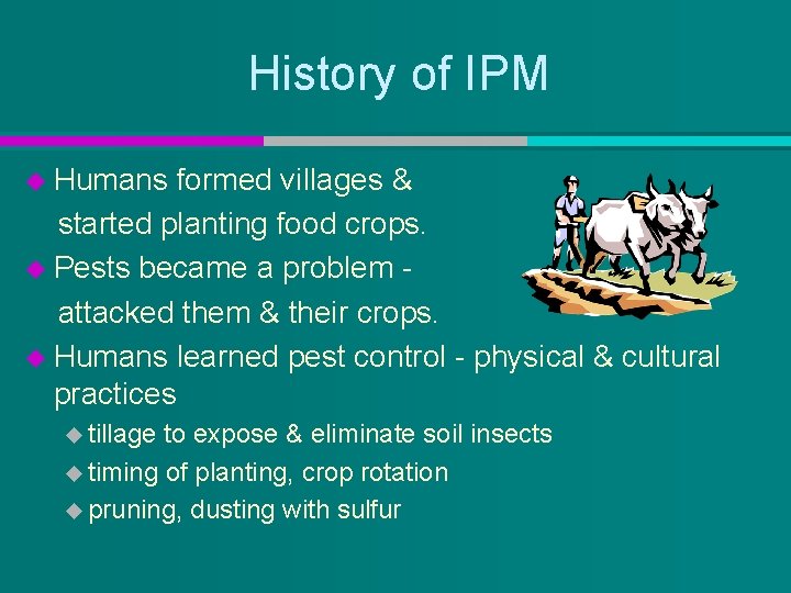History of IPM u Humans formed villages & started planting food crops. u Pests