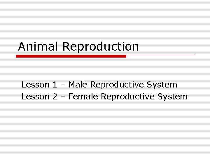 Animal Reproduction Lesson 1 – Male Reproductive System Lesson 2 – Female Reproductive System