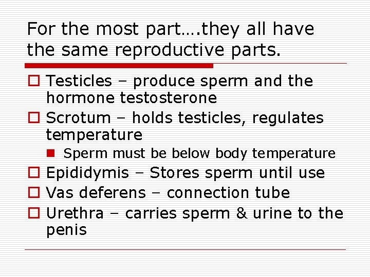 For the most part…. they all have the same reproductive parts. o Testicles –