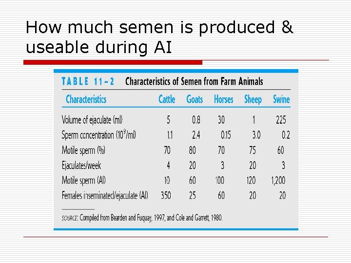 How much semen is produced & useable during AI 