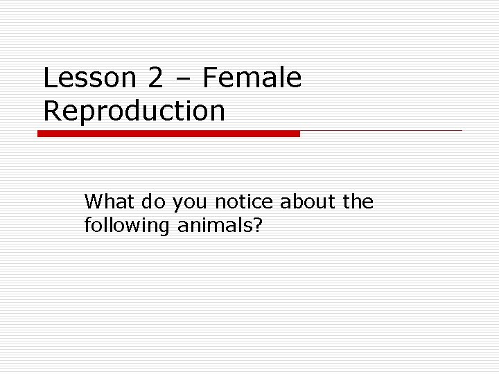 Lesson 2 – Female Reproduction What do you notice about the following animals? 