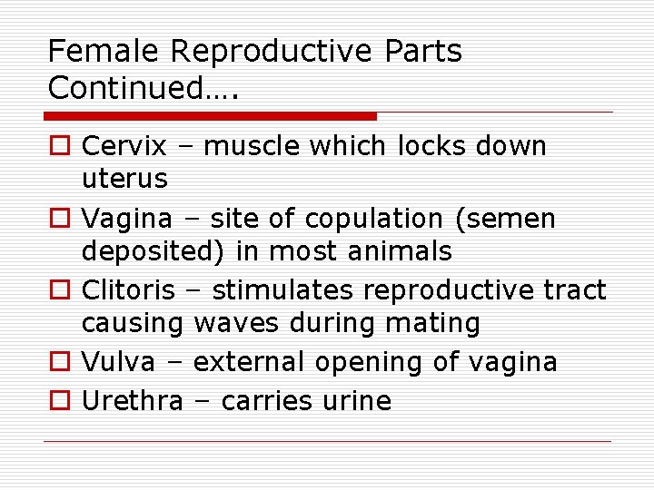 Female Reproductive Parts Continued…. o Cervix – muscle which locks down uterus o Vagina