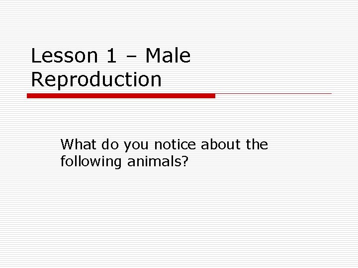 Lesson 1 – Male Reproduction What do you notice about the following animals? 