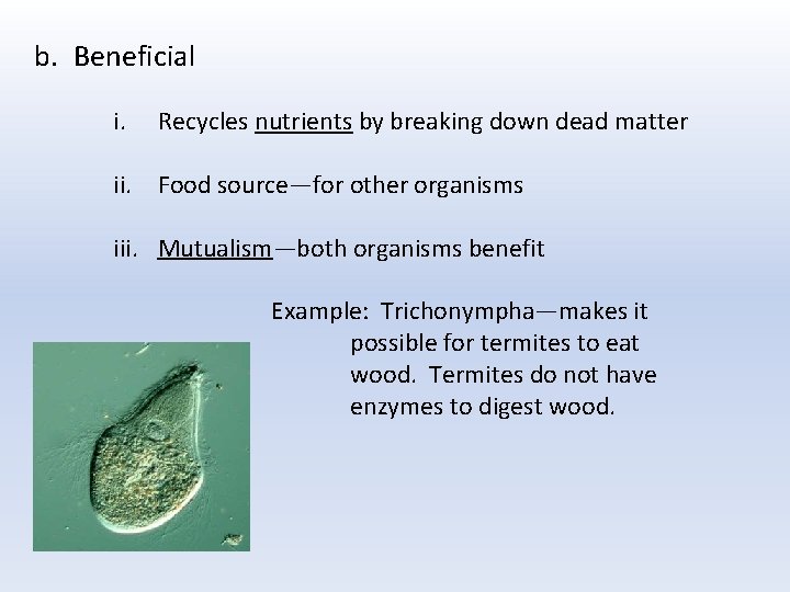 b. Beneficial i. Recycles nutrients by breaking down dead matter ii. Food source—for other