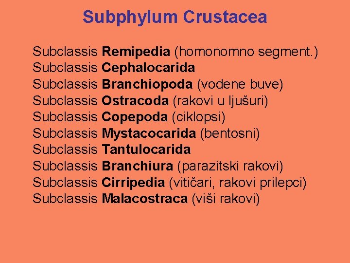 Subphylum Crustacea Subclassis Remipedia (homonomno segment. ) Subclassis Cephalocarida Subclassis Branchiopoda (vodene buve) Subclassis