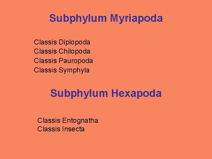 Subphylum Myriapoda Classis Diplopoda Classis Chilopoda Classis Pauropoda Classis Symphyla Subphylum Hexapoda Classis Entognatha