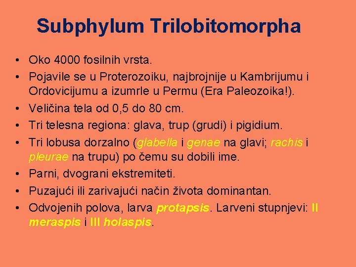 Subphylum Trilobitomorpha • Oko 4000 fosilnih vrsta. • Pojavile se u Proterozoiku, najbrojnije u