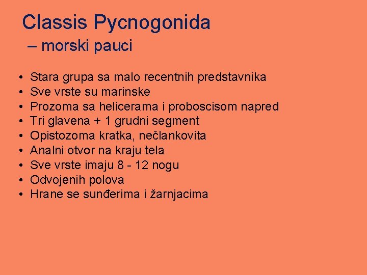 Classis Pycnogonida – morski pauci • • • Stara grupa sa malo recentnih predstavnika