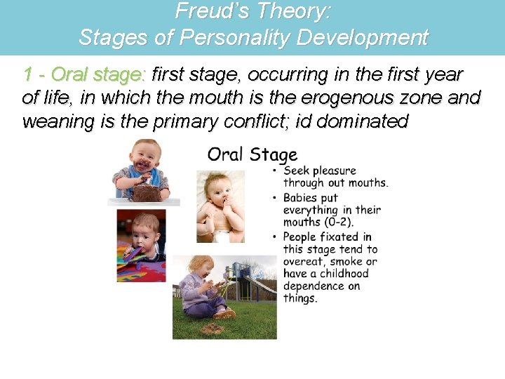 Freud’s Theory: Stages of Personality Development 1 - Oral stage: first stage, occurring in