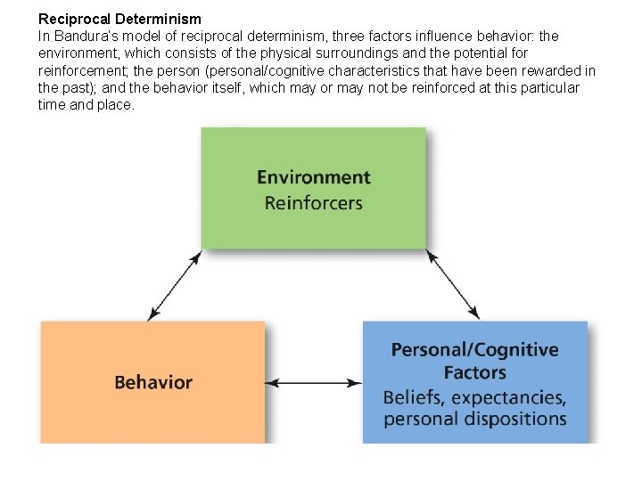 Reciprocal Determinism In Bandura’s model of reciprocal determinism, three factors influence behavior: the environment,