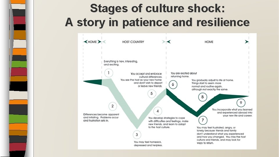 Stages of culture shock: A story in patience and resilience 