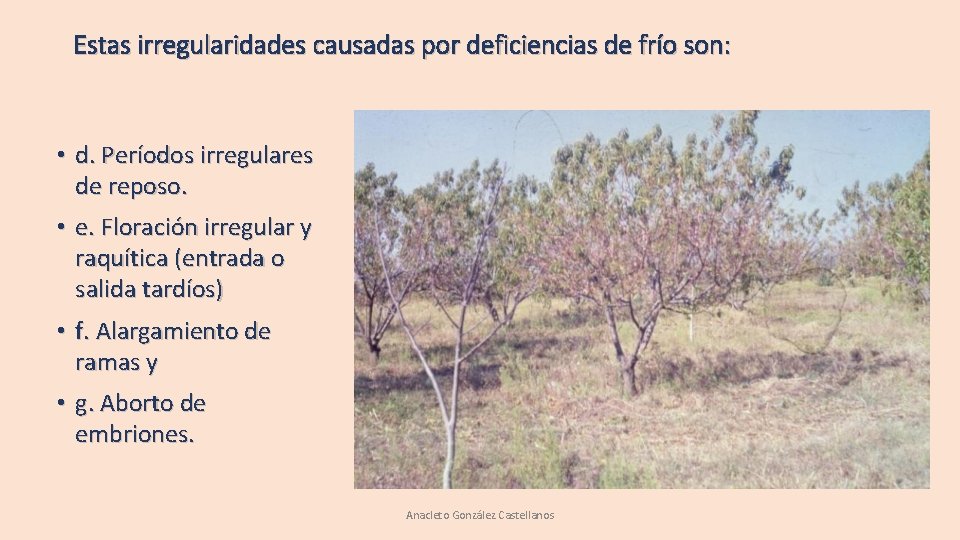 Estas irregularidades causadas por deficiencias de frío son: • d. Períodos irregulares de reposo. Estas irregularidades causadas por deficiencias de frío son: • d. Períodos irregulares de reposo.