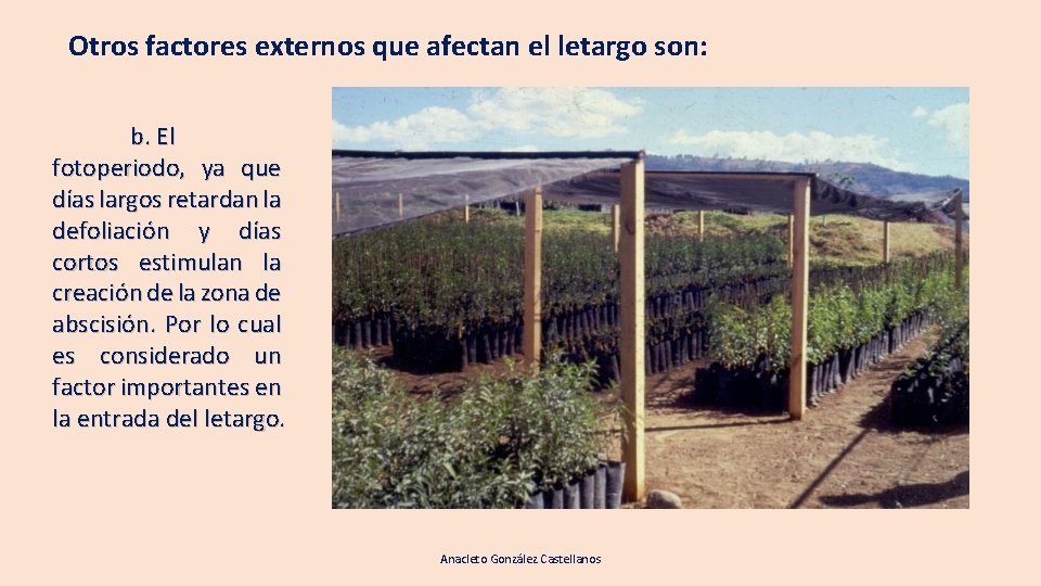 Otros factores externos que afectan el letargo son: b. El fotoperiodo, ya que días Otros factores externos que afectan el letargo son: b. El fotoperiodo, ya que días