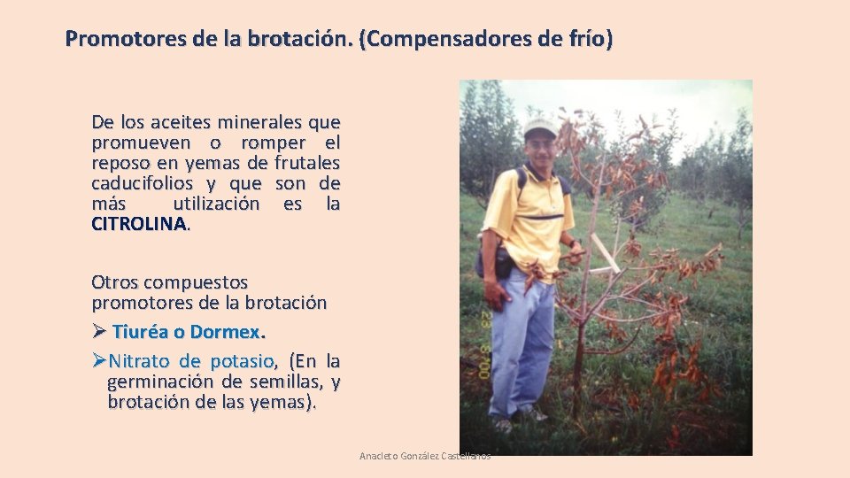 Promotores de la brotación. (Compensadores de frío) De los aceites minerales que promueven o Promotores de la brotación. (Compensadores de frío) De los aceites minerales que promueven o