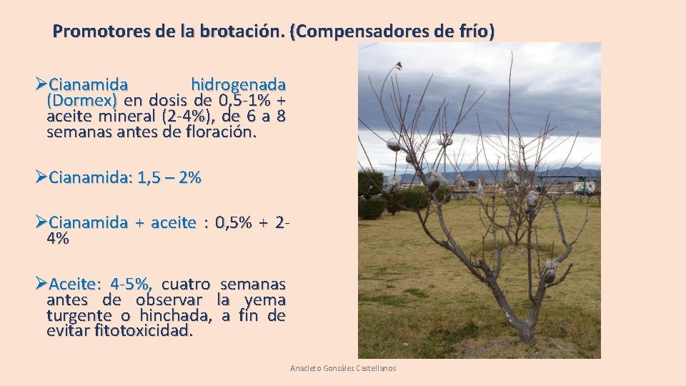 Promotores de la brotación. (Compensadores de frío) ØCianamida hidrogenada (Dormex) en dosis de 0, Promotores de la brotación. (Compensadores de frío) ØCianamida hidrogenada (Dormex) en dosis de 0,