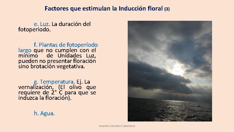 Factores que estimulan la Inducción floral (3) e. Luz. La duración del fotoperiodo. f. Factores que estimulan la Inducción floral (3) e. Luz. La duración del fotoperiodo. f.
