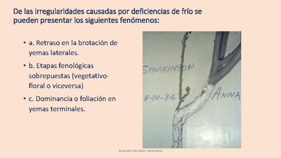 De las irregularidades causadas por deficiencias de frío se pueden presentar los siguientes fenómenos: De las irregularidades causadas por deficiencias de frío se pueden presentar los siguientes fenómenos: