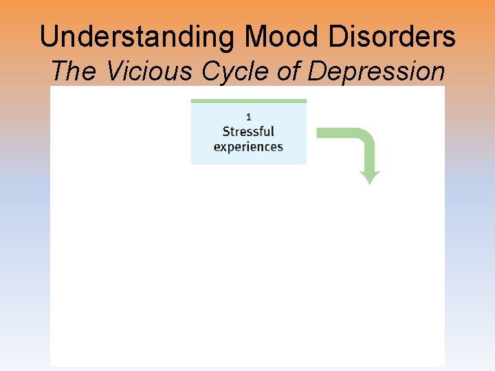 Understanding Mood Disorders The Vicious Cycle of Depression 