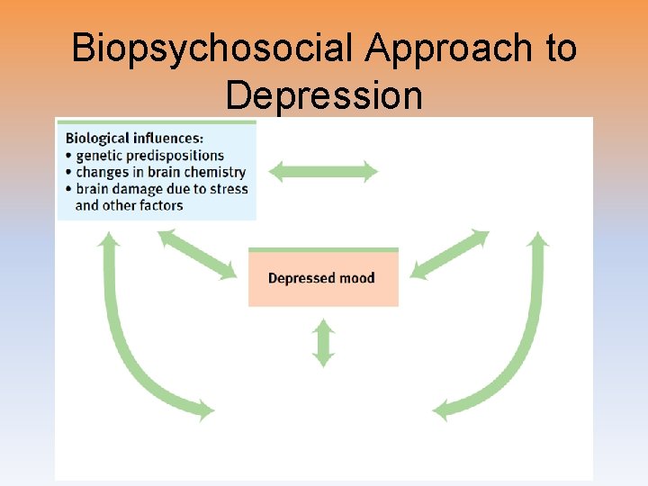Biopsychosocial Approach to Depression 