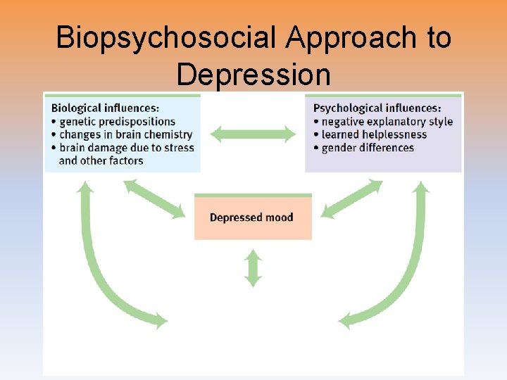 Biopsychosocial Approach to Depression 